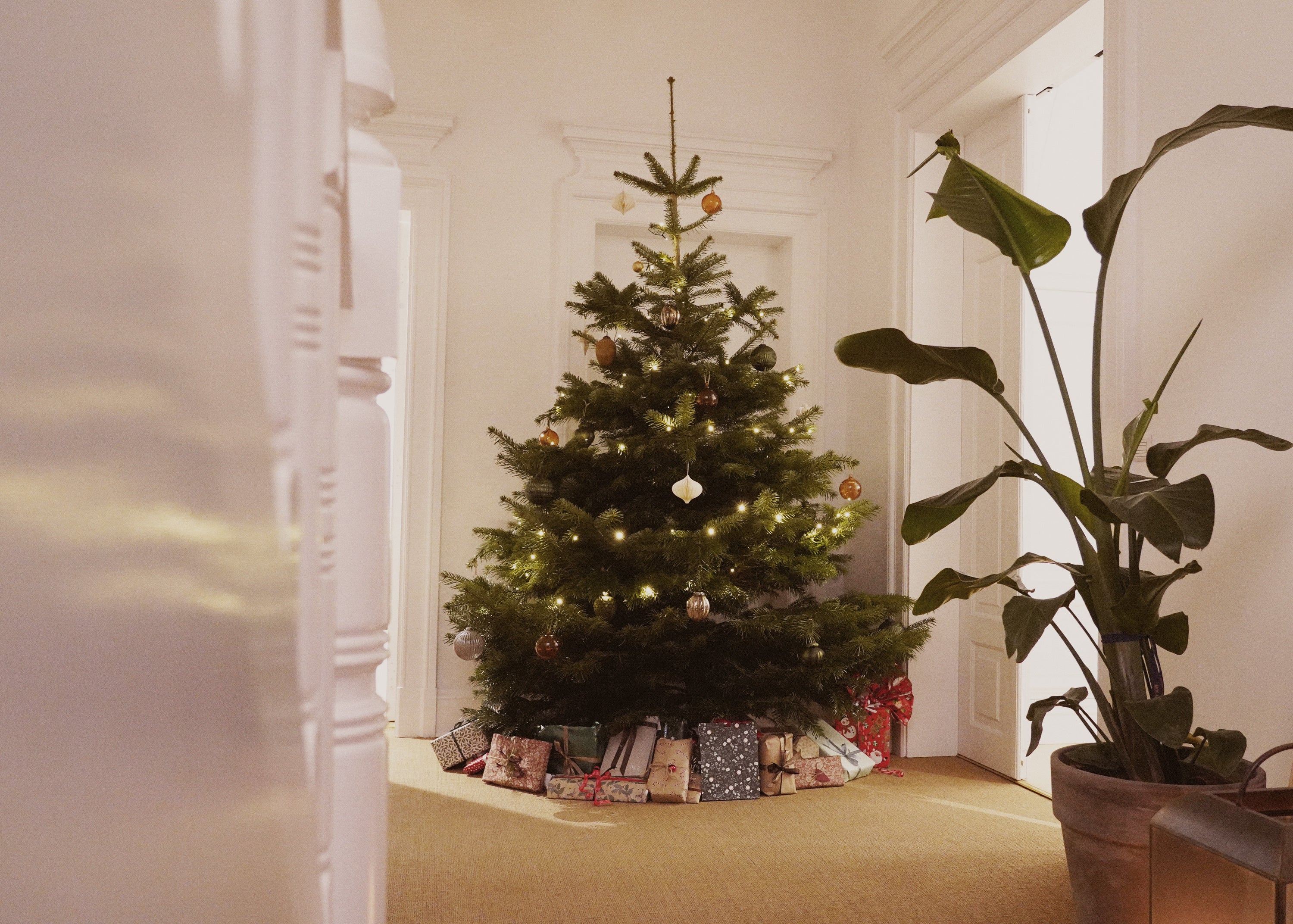 MOS MOSH Weihnachten