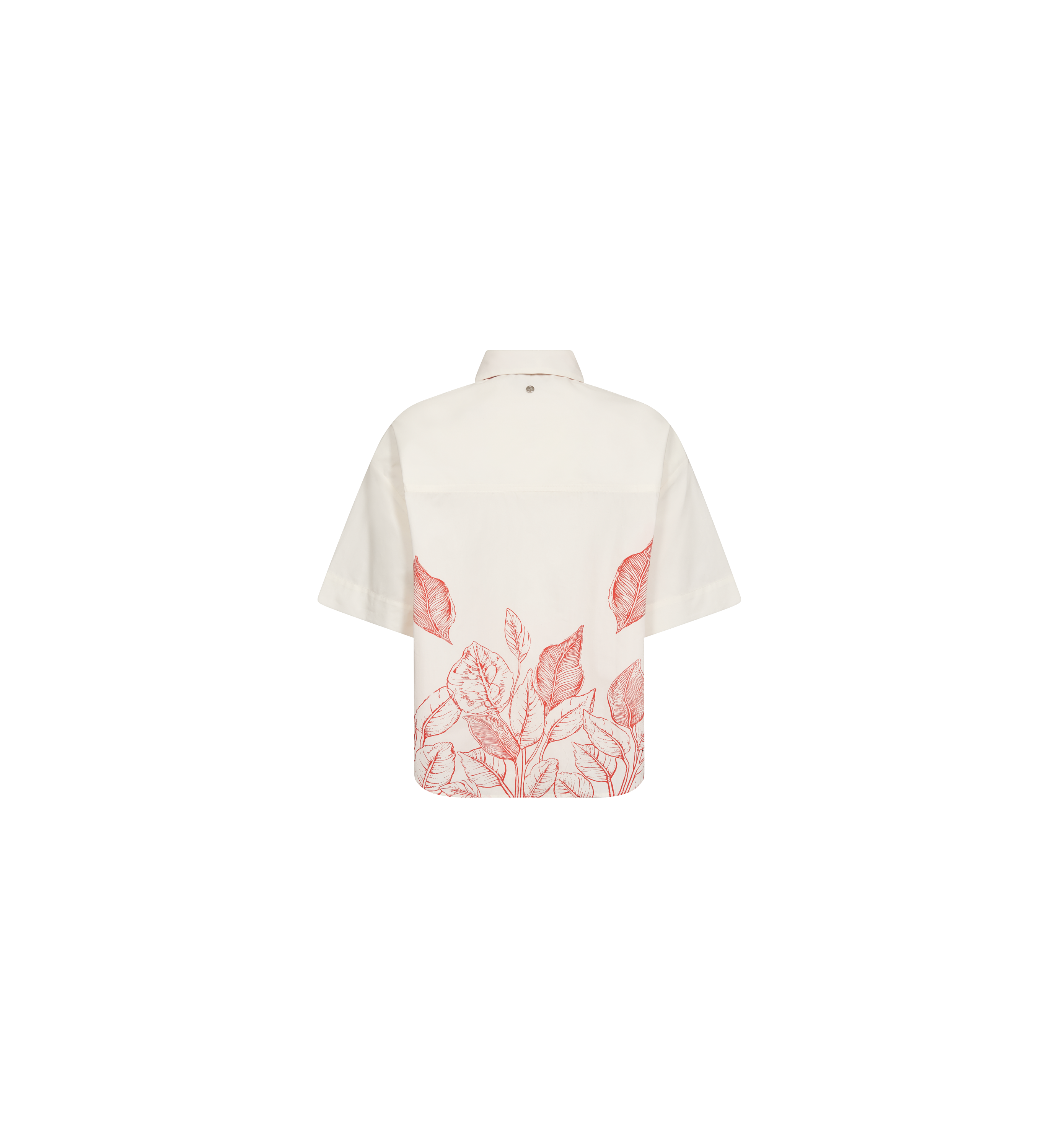 Packshot / Ecru / Back