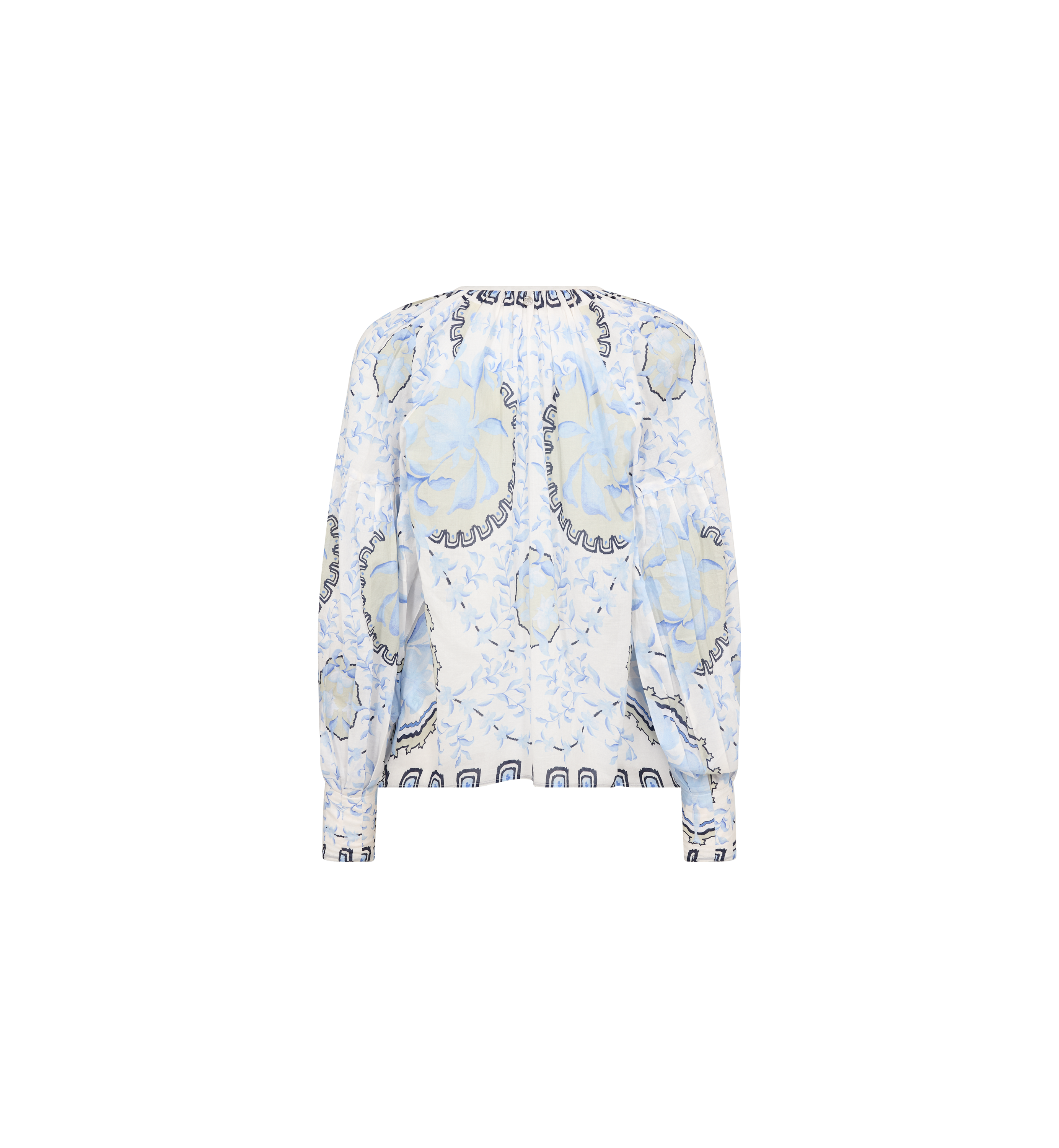 Packshot / Brunnera Blue / Back