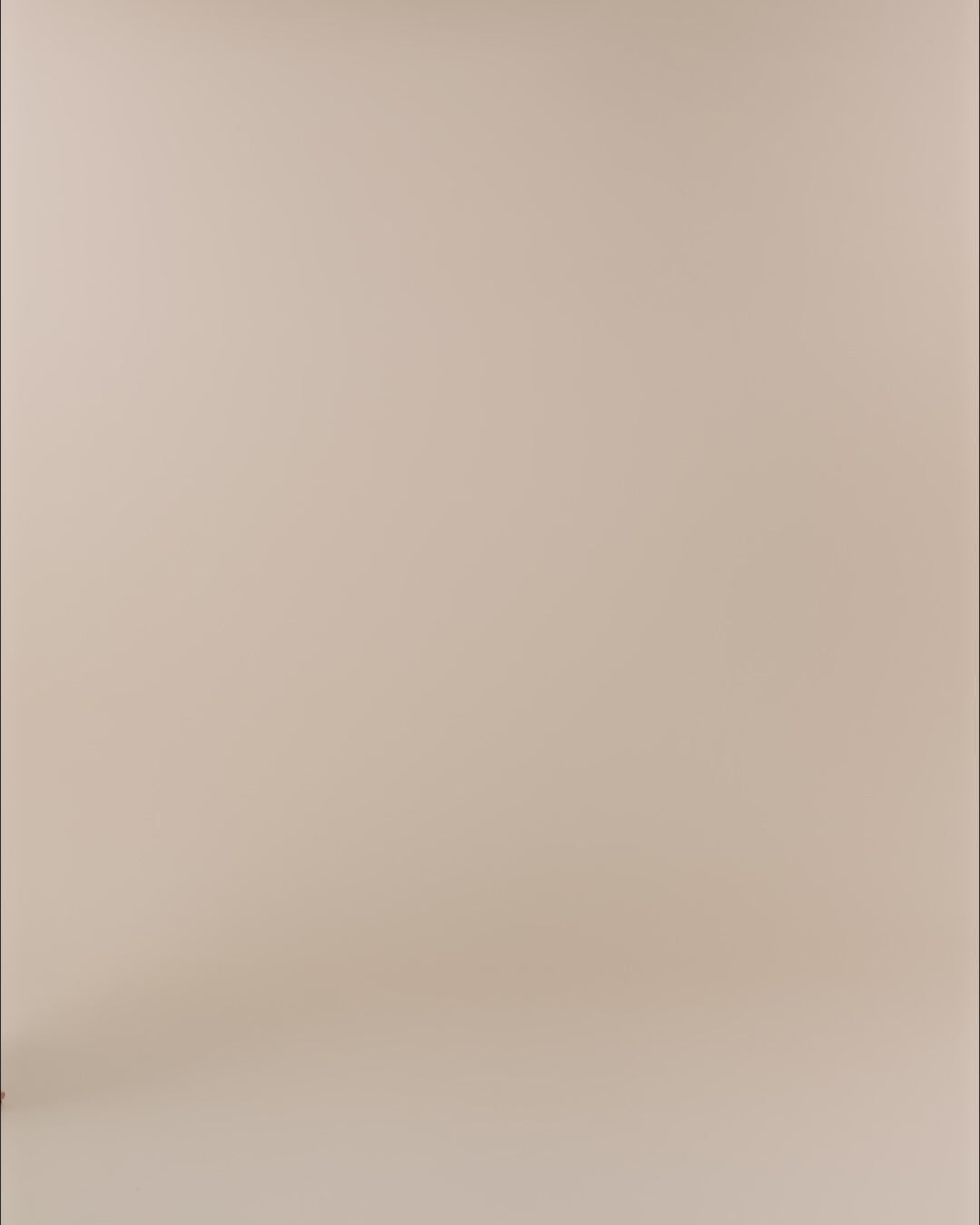 Modelshot / Silver / Detail