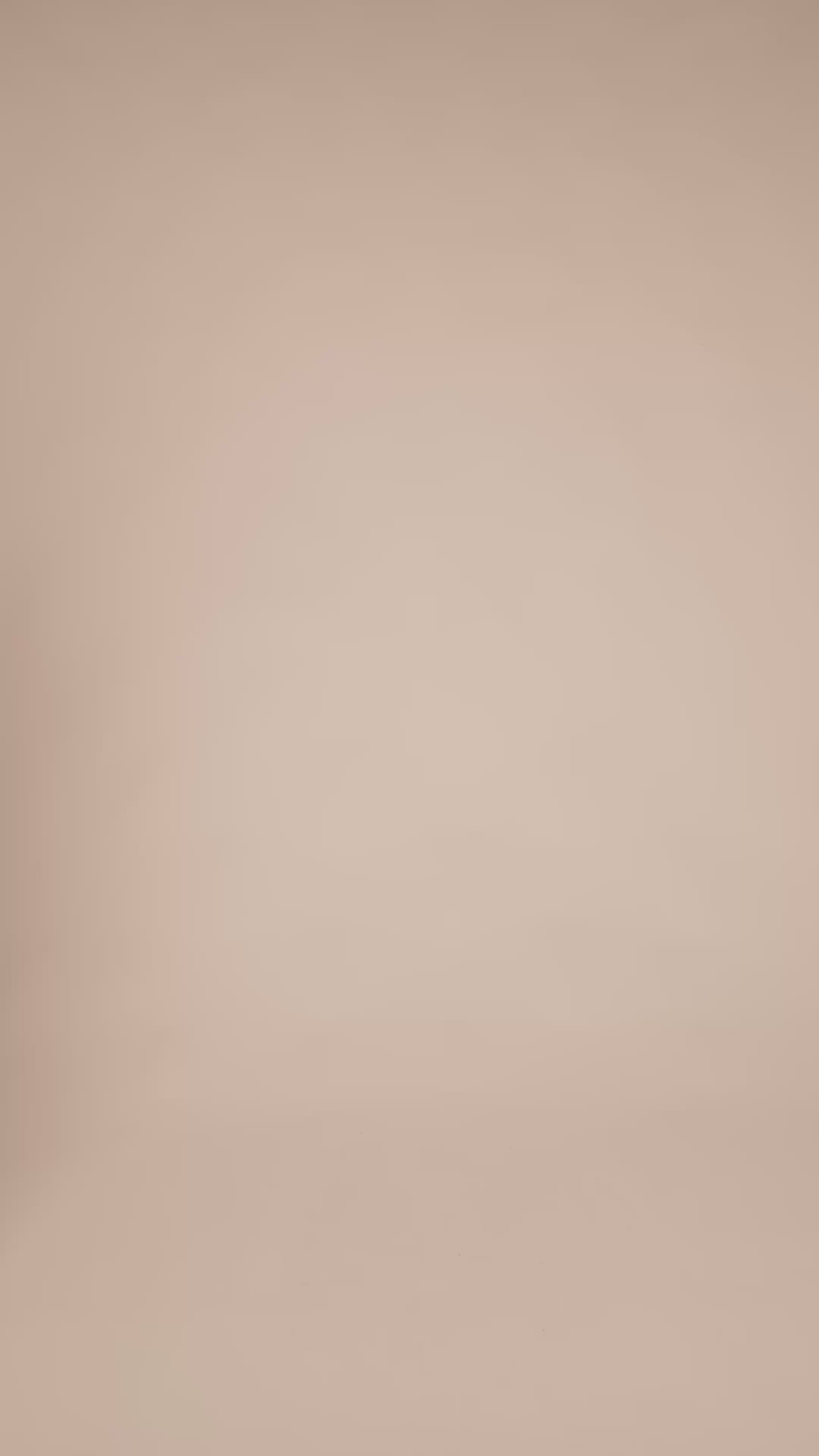 Modelshot / Burlwood / Detail